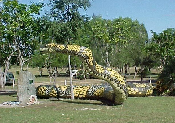 Amazing of Big Snakes